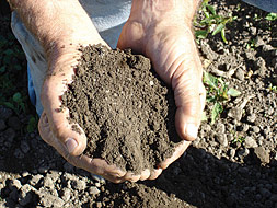 Farming Organically