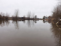 The pond on Delta Farm