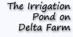 The Irrigation Pond on Delta Farm