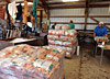 The packing shed crew getting carrots ready for markets and wholesale