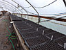 Vegetables plugs getting a start in the greenhouse.