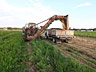 Long beds of carrots are harvested by machine and loaded directly into bins.