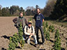 Dr. John Navazio, Nash and Chris do some kale selection on Clapp Farm.
