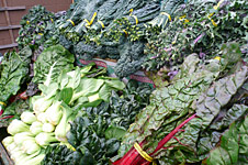 Eating organic food for health
