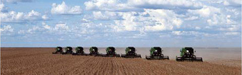 Industrial vs Traditional Agriculture