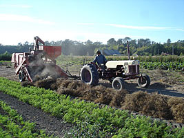 Sustainable organic farming