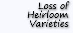 Loss of Heirloom Varieties
