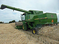 Straw