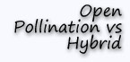 Open Polination vs Hybrid